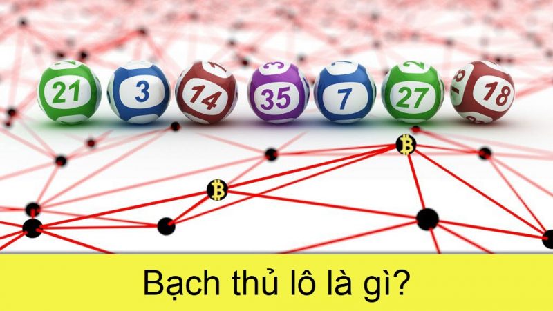 Định nghĩa Bạch Thủ Lô